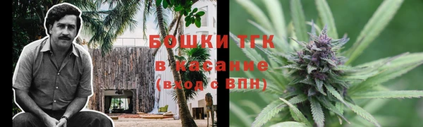 крисы Володарск