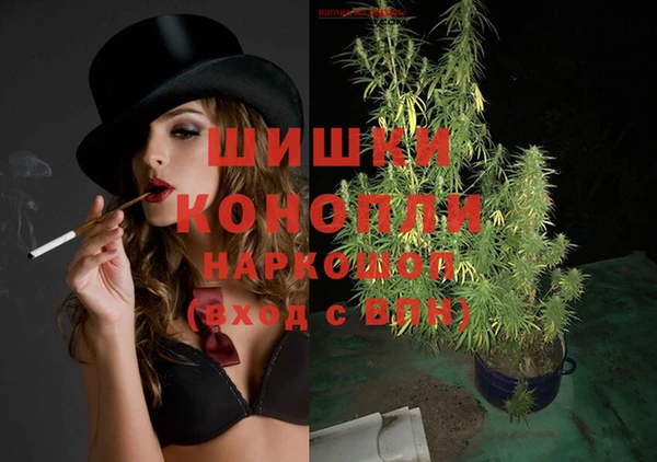 крисы Володарск