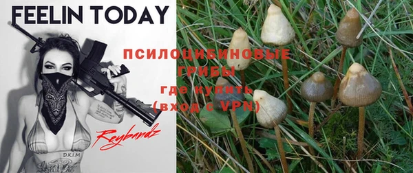 эйфоретик Вязники