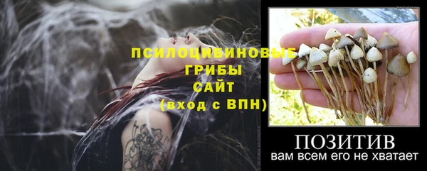эйфоретик Вязники